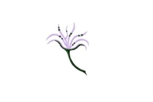 Engagement Ring Flower: A Seasonal Embroidery Review