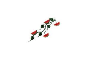 Watermelon Vine: A Designer's Real-World Review